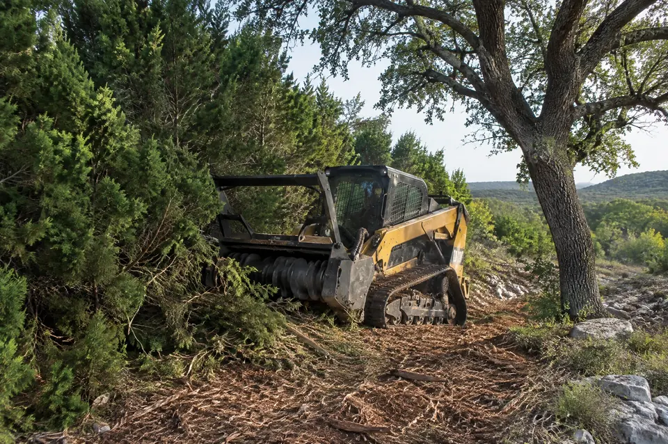 Cedar removal in Texas: compact track mulcher pushing into a dense Ashe juniper thicket beside a live oak it leaves standing